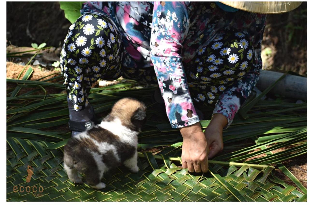 Ecoco Homestay Mekong Ben Tre Esterno foto