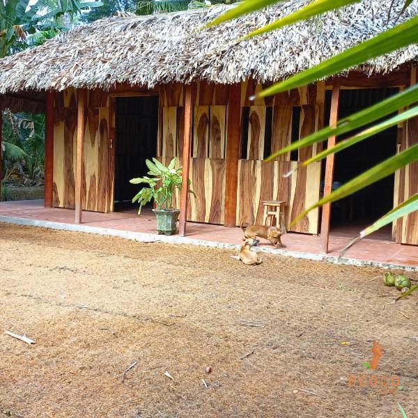 Ecoco Homestay Mekong Ben Tre Esterno foto